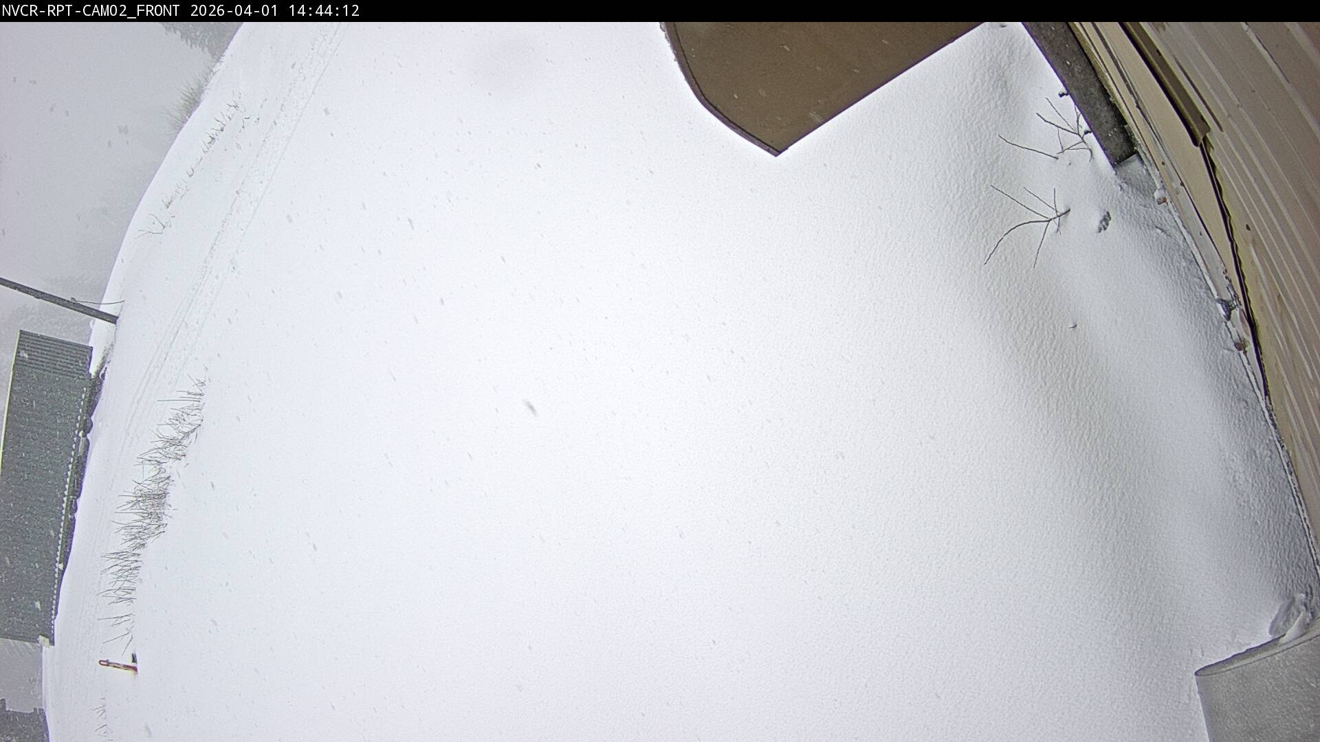 Web Cam History Image - 1