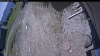 Web Cam Image - Wed, 05/27/2026 11:39am PDT