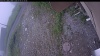 Web Cam Image - Sat, 07/04/2026 5:19am PDT