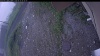 Web Cam Image - Sat, 06/27/2026 4:19am PDT