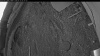 Web Cam Image - Tue, 05/12/2026 4:14am PDT