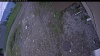 Web Cam Image - Sat, 06/06/2026 1:49pm PDT