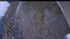 Web Cam Image - Tue, 10/21/2025 7:34pm PDT