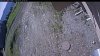 Web Cam Image - Mon, 06/01/2026 9:24am PDT