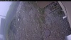 Web Cam Image - Fri, 05/15/2026 6:24am PDT