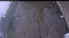 Web Cam Image - Wed, 05/13/2026 10:44am PDT