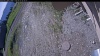 Web Cam Image - Mon, 06/01/2026 9:14am PDT