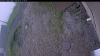 Web Cam Image - Fri, 06/05/2026 12:24pm PDT