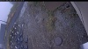 Web Cam Image - Tue, 10/21/2025 7:19pm PDT