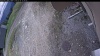 Web Cam Image - Thu, 05/14/2026 12:19pm PDT