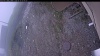 Web Cam Image - Fri, 05/15/2026 6:14am PDT