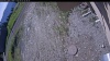 Web Cam Image - Mon, 06/01/2026 9:09am PDT