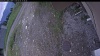 Web Cam Image - Sat, 06/06/2026 1:29pm PDT
