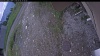 Web Cam Image - Sat, 06/06/2026 1:24pm PDT