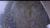 Web Cam Image - Tue, 10/21/2025 7:09pm PDT