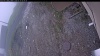Web Cam Image - Fri, 05/15/2026 6:04am PDT