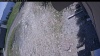 Web Cam Image - Fri, 05/22/2026 11:49am PDT