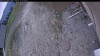 Web Cam Image - Tue, 05/12/2026 3:59pm PDT