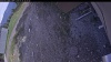 Web Cam Image - Wed, 05/20/2026 3:14pm PDT