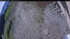 Web Cam Image - Mon, 06/01/2026 8:54am PDT
