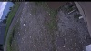 Web Cam Image - Sat, 06/06/2026 1:14pm PDT