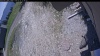 Web Cam Image - Fri, 05/22/2026 11:39am PDT