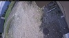 Web Cam Image - Thu, 05/14/2026 11:54am PDT
