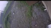 Web Cam Image - Sat, 06/27/2026 4:14am PDT