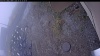Web Cam Image - Tue, 10/21/2025 6:49pm PDT