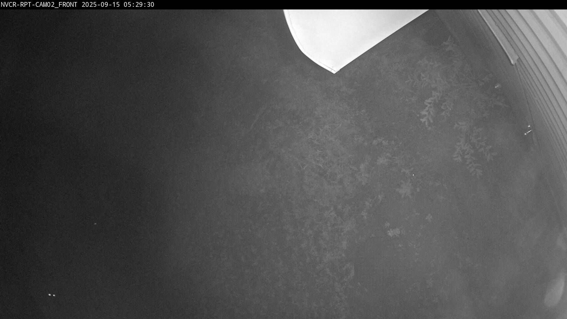 Web Cam History Image - 111