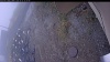 Web Cam Image - Tue, 10/21/2025 6:39pm PDT