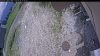 Web Cam Image - Thu, 06/04/2026 11:39am PDT