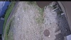 Web Cam Image - Thu, 06/04/2026 11:34am PDT