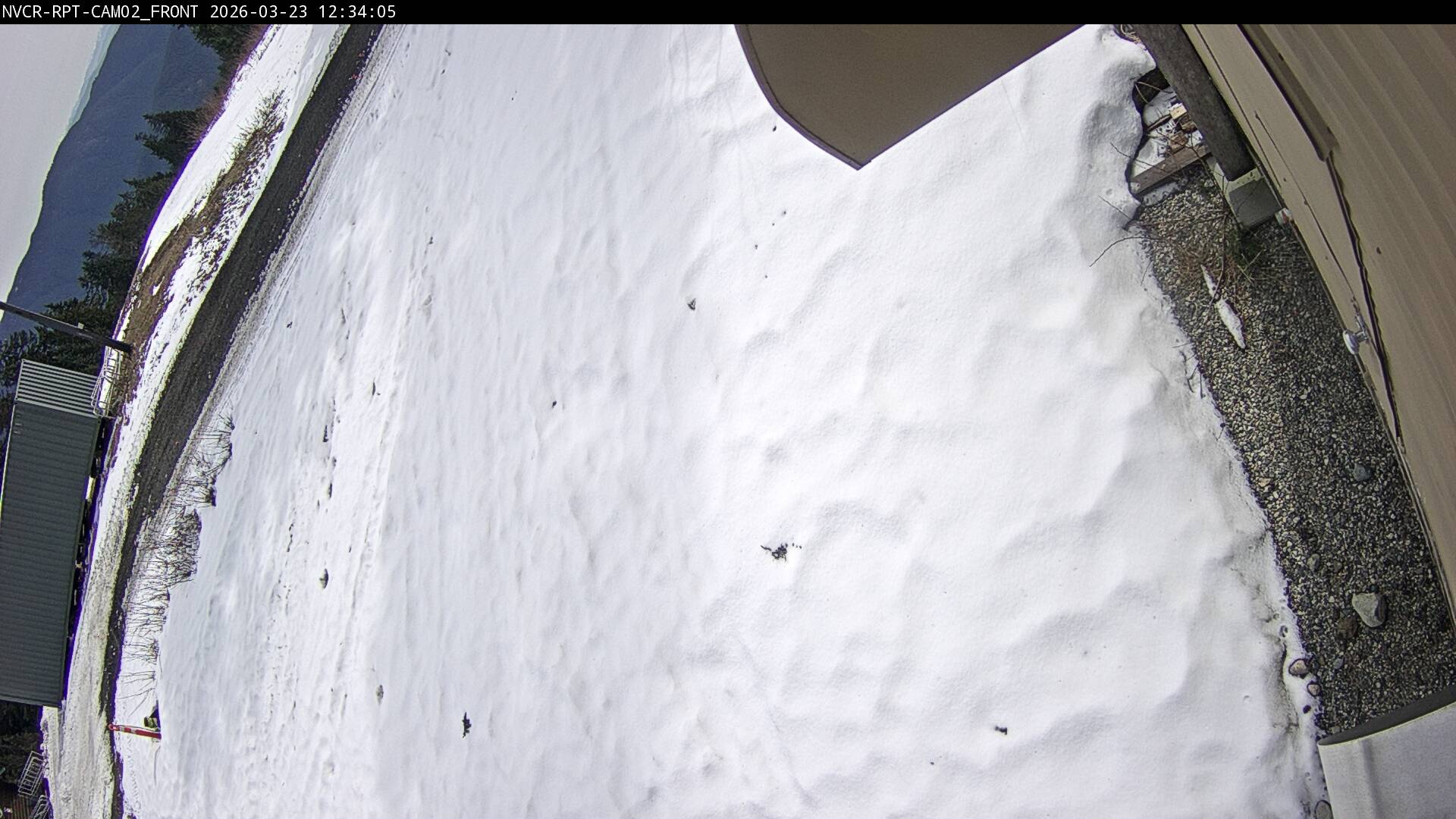 Web Cam History Image - 114