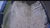 Web Cam Image - Fri, 05/22/2026 11:09am PDT