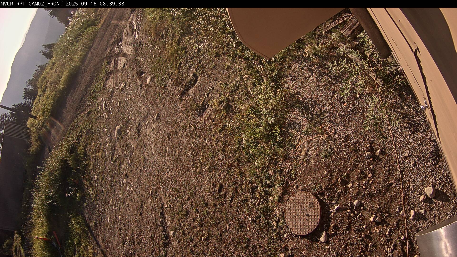 Web Cam History Image - 115