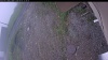 Web Cam Image - Fri, 06/05/2026 11:24am PDT