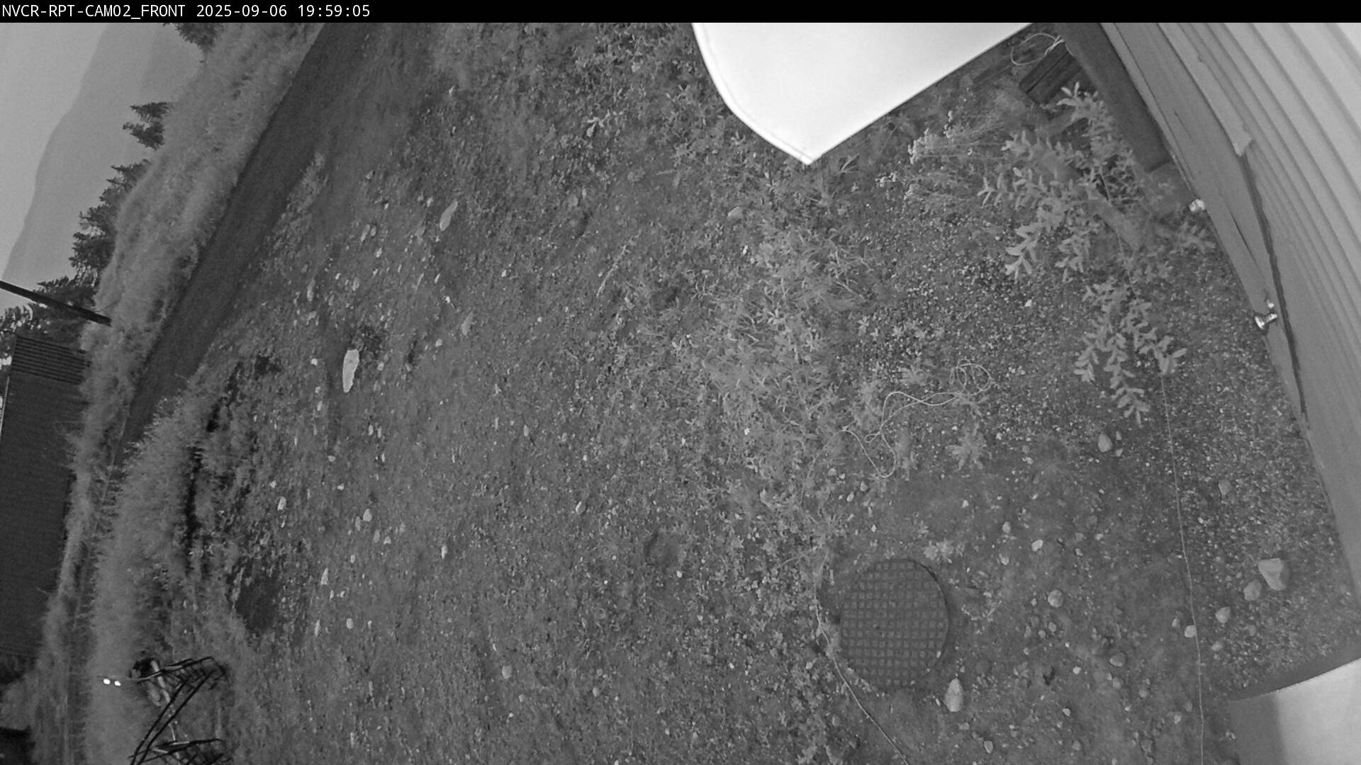 Web Cam History Image - 116