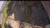 Web Cam Image - Sun, 06/15/2025 10:19am PDT