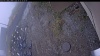 Web Cam Image - Tue, 10/21/2025 6:19pm PDT