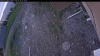 Web Cam Image - Thu, 05/28/2026 5:09am PDT