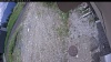 Web Cam Image - Thu, 06/04/2026 11:19am PDT