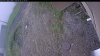 Web Cam Image - Fri, 06/05/2026 11:19am PDT