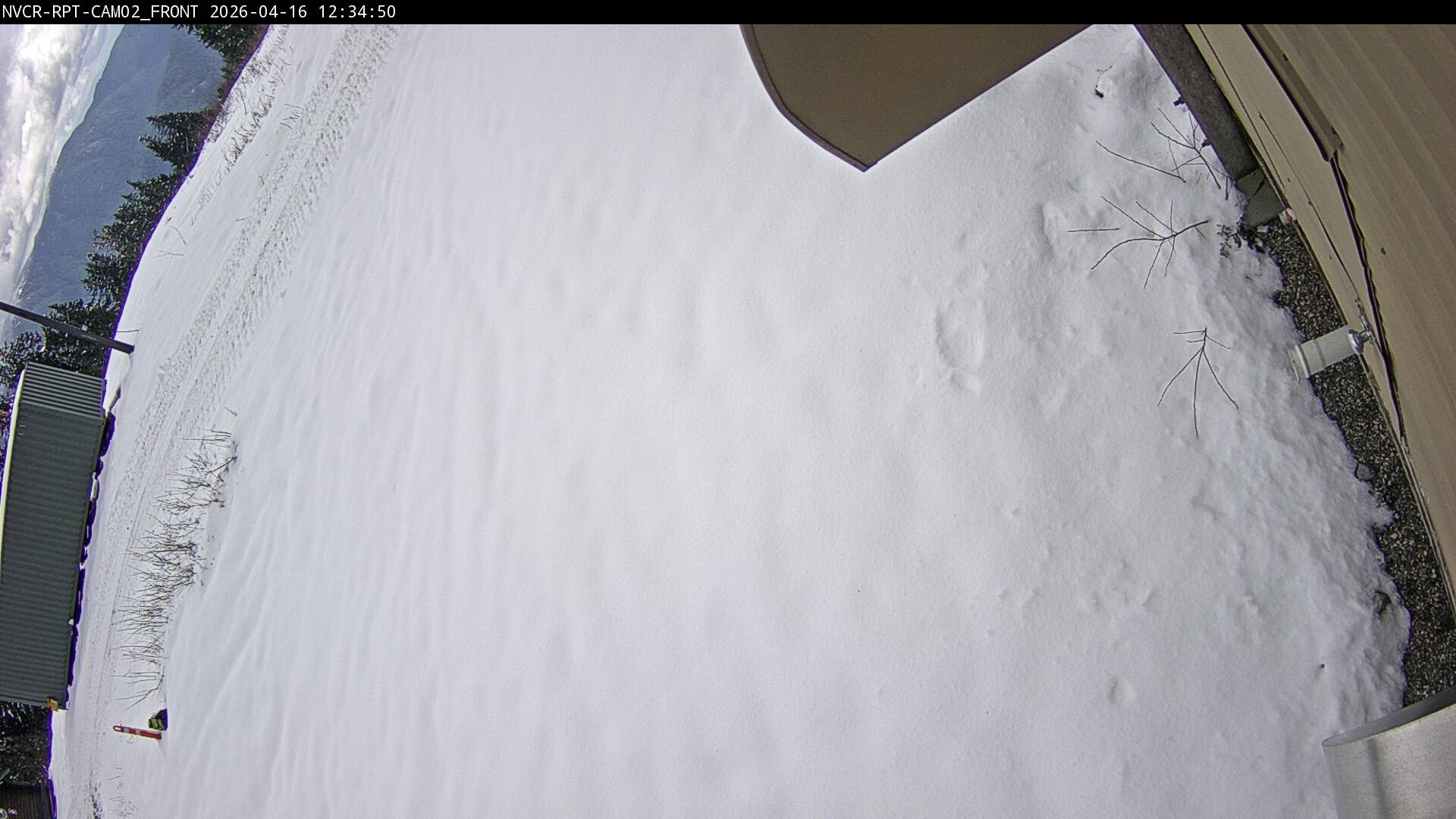 Web Cam History Image - 117