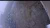 Web Cam Image - Tue, 10/21/2025 6:14pm PDT
