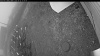 Web Cam Image - Wed, 10/22/2025 1:59pm PDT