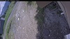 Web Cam Image - Sat, 06/06/2026 12:24pm PDT