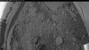 Web Cam Image - Sat, 06/14/2025 7:39pm PDT