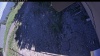 Web Cam Image - Tue, 06/16/2026 3:19pm PDT
