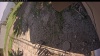 Web Cam Image - Sun, 06/15/2025 10:04am PDT